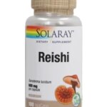 0 04902f09 1c3b 404e b93c be1ef023c78b