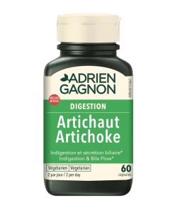 آرتیشو ادرین گگنون 60 عددی Adrien Gagnon Artichoke