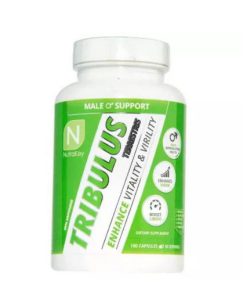 0 1a246c99 03d8 42b7 b274 91548939153d