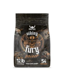 گینر فیوری وایکینگ فورس کیسه‌ای