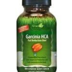 چربی سوز گارسینیا HCA اروین نچرالز 90عددی