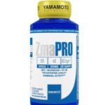 زد ام آ یاماموتو