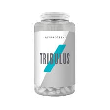 0 3c19bc98 a378 4499 a65d a75922061c13