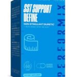 اس اس تی ساپورت دیفین