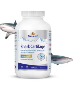 شارک کارتیلیج