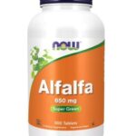عصاره یونجه آلفا آلفا ناو 650 میلی گرم 500 عدد NOW Alfalfa 650 mg