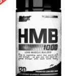 اچ ام بی ناترکس