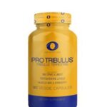 0 9f77bd8e cccc 49af a96f acf57d4a07a0