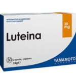 لوته‌آین یاماموتو