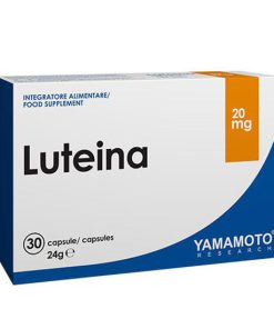 لوته‌آین یاماموتو