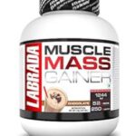 ماسل مس گینر لابرادا