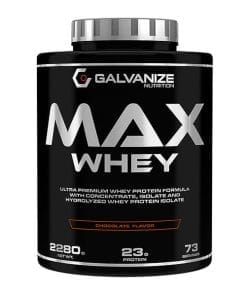 پروتئین وی مکس 2280 گرمی گالوانایز