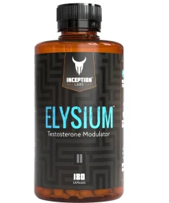 0 e96a0521 8d1d 466c 9f46 4500d92bec12