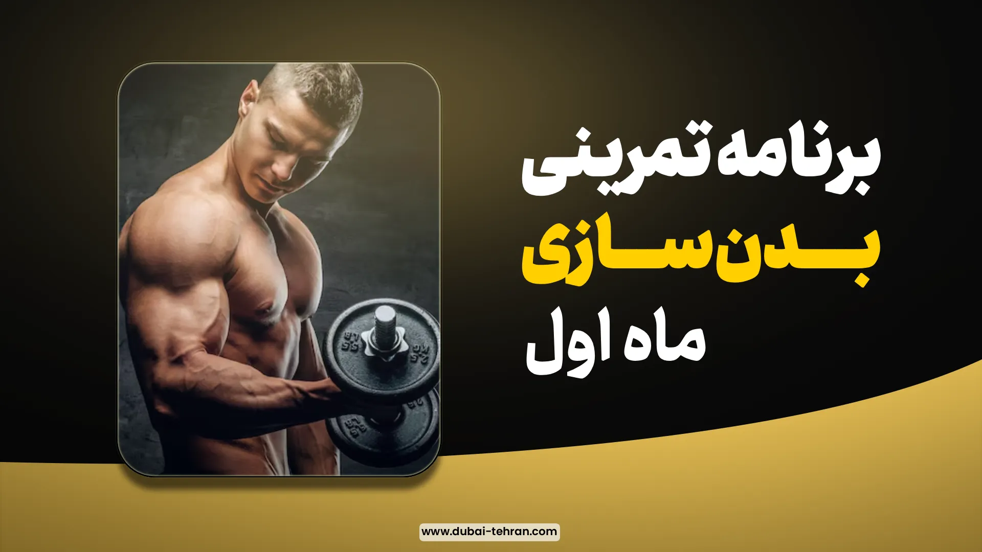 The best fitness program 1